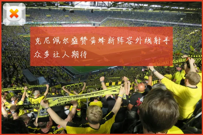 克尼佩尔盛赞黄蜂新阵容外线射手众多让人期待